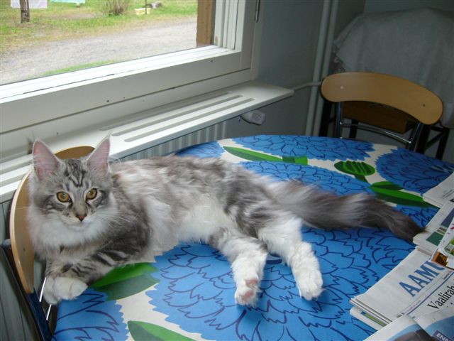 Kuva 18.9.07 135.jpg